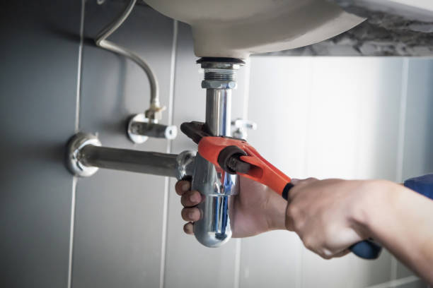 Best Commercial Plumbing Services  in Hays, MT